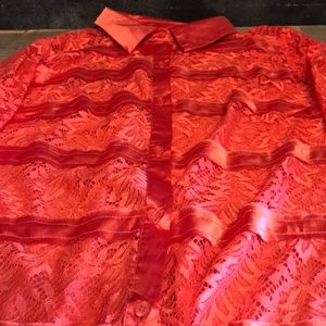 NEW Women's Small BKE Blouse GORGEOUS!!!